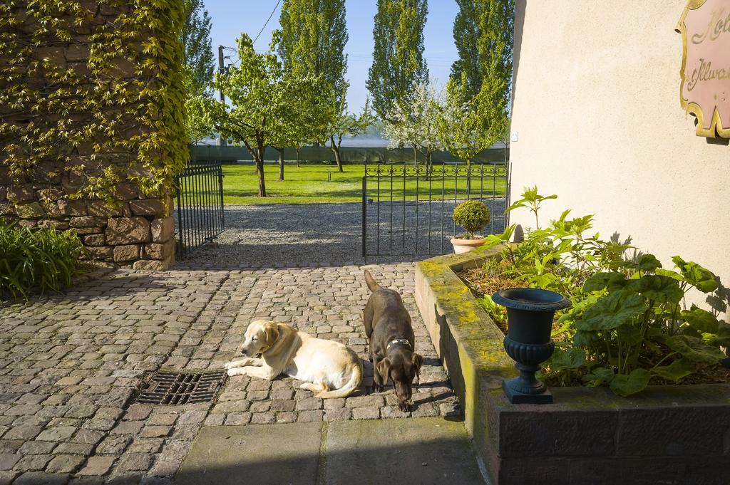 Hotel Restaurant De L'Illwald Sélestat Eksteriør bilde